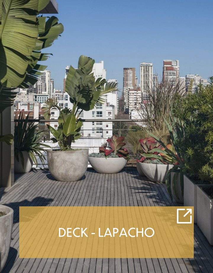card-lapachoa