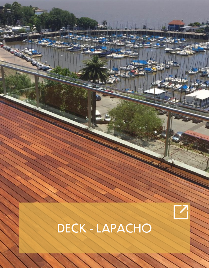 card-lapachoc