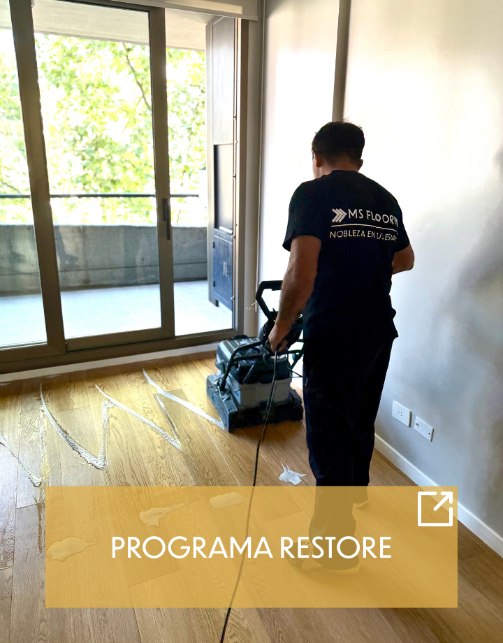 programa-restore-cardnew